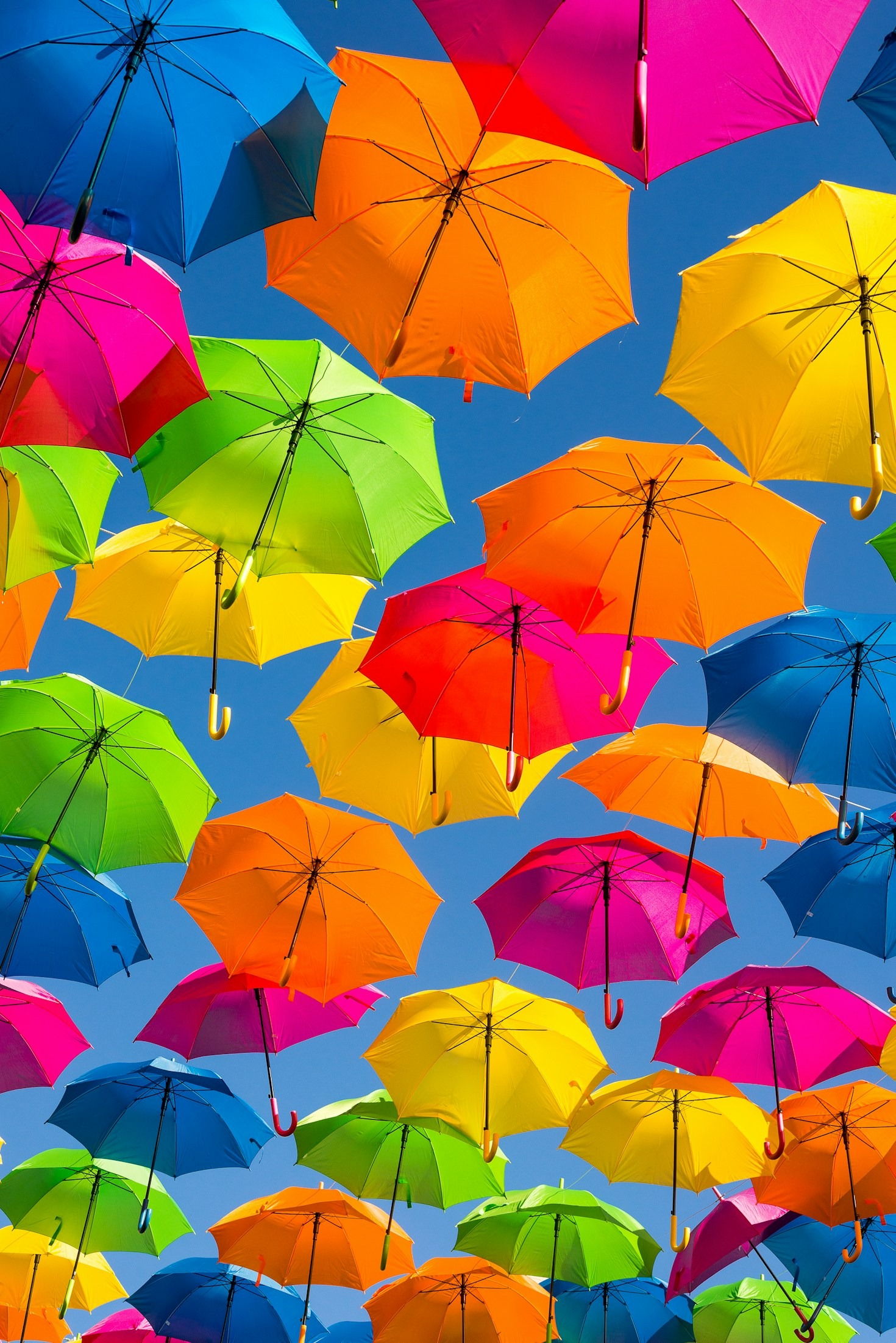 Unveiling Funbulow: A Hub of Happiness